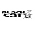 Сомовые системы Black Cat